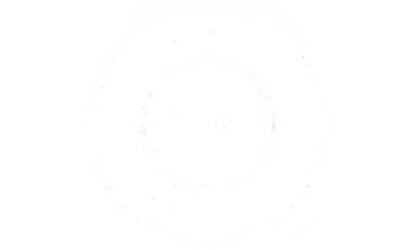 Professional Window Tinting